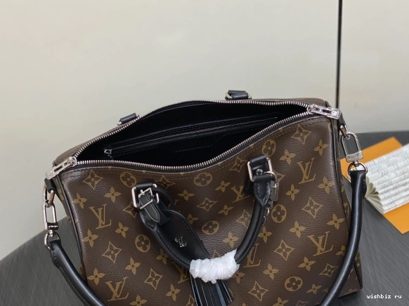 WIS Soft Speedy Vuitton Dark Louis 30 0308